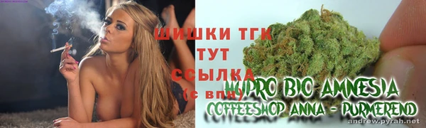 молекула духа Абинск