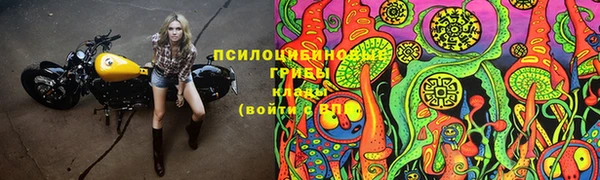дурь Абдулино